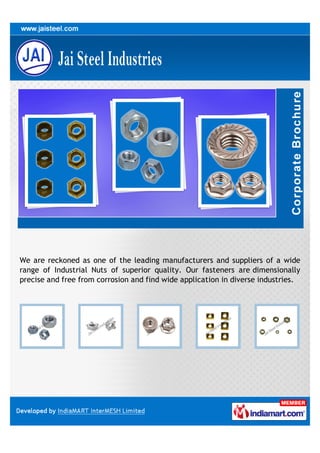 We are reckoned as one of the leading manufacturers and suppliers of a wide
range of Industrial Nuts of superior quality. Our fasteners are dimensionally
precise and free from corrosion and find wide application in diverse industries.
 
