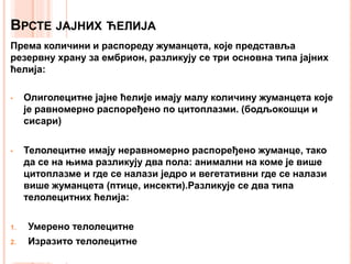 ВРСТЕ ЈАЈНИХ ЋЕЛИЈА
Према количини и распореду жуманцета, које представља
резервну храну за ембрион, разликују се три основна типа јајних
ћелија:
• Олиголецитне јајне ћелије имају малу количину жуманцета које
је равномерно распоређено по цитоплазми. (бодљокошци и
сисари)
• Телолецитне имају неравномерно распоређено жуманце, тако
да се на њима разликују два пола: анимални на коме је више
цитоплазме и где се налази једро и вегетативни где се налази
више жуманцета (птице, инсекти).Разликује се два типа
телолецитних ћелија:
1. Умерено телолецитне
2. Изразито телолецитне
 