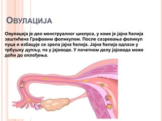 ОВУЛАЦИЈА
Овулација је део менструалног циклуса, у коме је јајна ћелија
заштићена Графовим фоликулом. После сазревања фоликул
пуца и избацује се зрела јајна ћелија. Јајна ћелија одлази у
трбушну дупљу, па у јајоводе. У почетном делу јајовода може
доћи до оплођења.
 