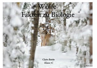 Wölfe
Fakten zu Biologie
Claire Bottin
Klasse 7C
14 Marz 2020
 