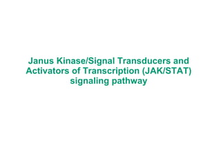 Janus Kinase/Signal Transducers and
Activators of Transcription (JAK/STAT)
signaling pathway
 