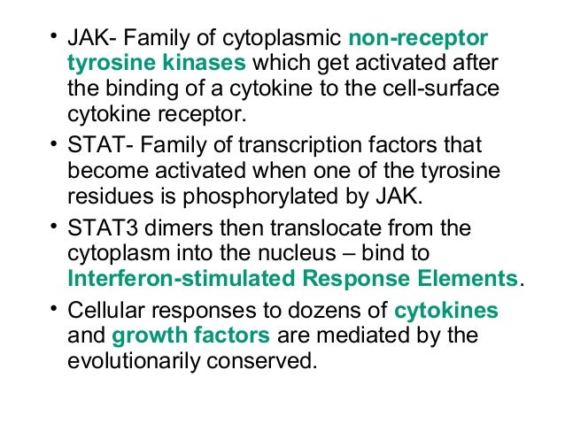 jak stat pathway