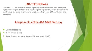 Comprehensive Overview of the JAK-STAT Signaling Pathway and Its ...