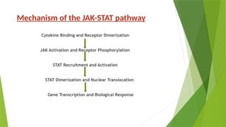 Comprehensive Overview of the JAK-STAT Signaling Pathway and Its ...