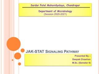 JAK-STAT SIGNALING PATHWAY
Presented By –
Deepak Chawhan
M.Sc. (Semeter II)
Sardar Patel Mahavidyalaya, Chandrapur
Department of Microbiology
(Session 2020-2021)
 