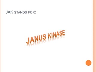 JAK STANDS FOR:
 