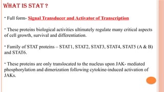 JAK - STAT SIGNALING PATHWAY. pptx | PPTX