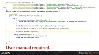 @dblevins @tomitribe
 