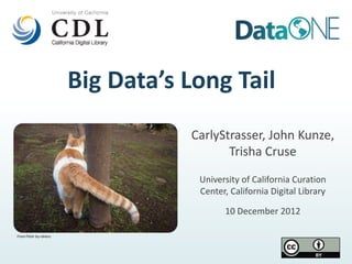 Big Data’s Long Tail
                                   CarlyStrasser, John Kunze,
                                          Trisha Cruse
                                    University of California Curation
                                    Center, California Digital Library

                                          10 December 2012

From Flickr by rahenz
 