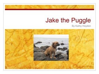 Jake the Puggle By Kathy Hayden 