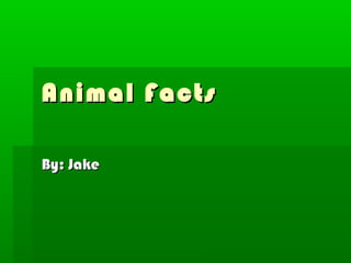 Animal Facts

By: Jake
 