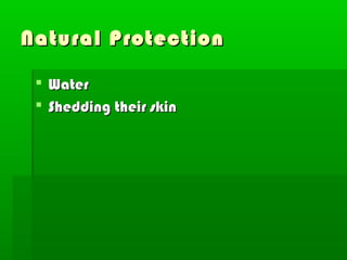 Natural Protection

  Water
  Shedding their skin
 