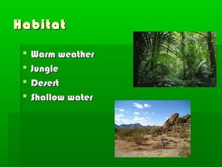 Habitat

    Warm weather
    Jungle
    Desert
    Shallow water
 