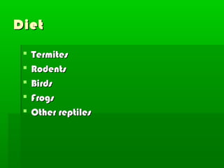 Diet

    Termites
    Rodents
    Birds
    Frogs
    Other reptiles
 
