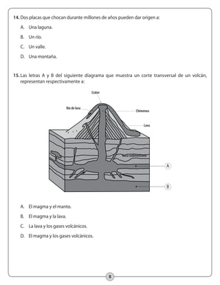 8
14.	Dos placas que chocan durante millones de años pueden dar origen a:
A.	 Una laguna.
B.	 Un río.
C.	 Un valle.
D.	 Una montaña.
15.	Las letras A y B del siguiente diagrama que muestra un corte transversal de un volcán,
representan respectivamente a:
A.	 El magma y el manto.
B.	 El magma y la lava.
C.	 La lava y los gases volcánicos.
D.	 El magma y los gases volcánicos.
Cráter
Río de lava
Chimenea
Lava
A
B
Roca sedimentaria
 