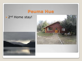 Peuma Hue
   2nd Home stay!
 