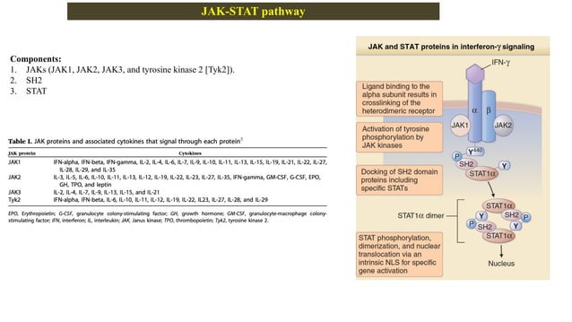 Janus kinase inhibitor visual data 7