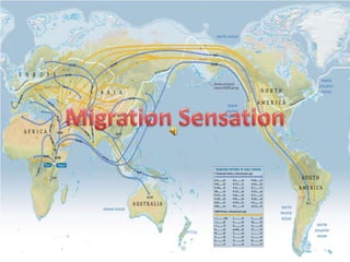 Migration Sensation 