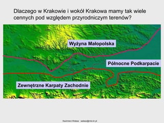 Dlaczego w Krakowie i wokół Krakowa mamy tak wiele
cennych pod względem przyrodniczym terenów?

Wyżyna Małopolska

Północne Podkarpacie

Zewnętrzne Karpaty Zachodnie

Kazimierz Walasz walasz@mto-kr.pl

 