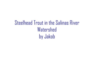 Steelhead Trout in the Salinas River
Watershed
by Jakob
 