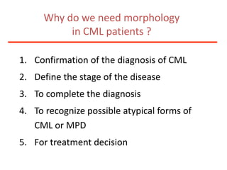 Why do we need morphology in CML patients ?Confirmation of the diagnosis of CMLDefine the stage of the diseaseTo complete the diagnosis To recognize possible atypical forms of CML or MPDFor treatment decision