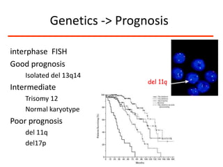 Algorithm of mature B-cell neoplasmsMonoclonal B-cells+-CD5++--CD23CD10othersCLLMCLFL