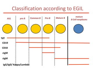 Classification according to EGILmature B Cell neoplasmsMature BCommon BPre-Bpro B AUL TdTCD19CD10cIgMsIgMIgG/IgD/ Kappa/Lambda