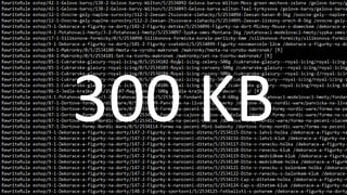 300 KB  