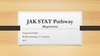 JAK STAT Pathway
(Regulation)
Zulqarnain Haider
BS Biotechnology (7th semester)
IIUI
 