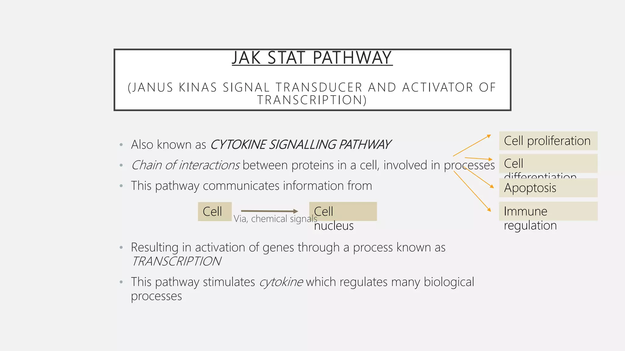 JAK STAT PATHWAY
(JANUS KINAS SIGNAL TRANSDUCER AND ACTIVATOR OF
TRANSCRIPTION)
• Also known as CYTOKINE SIGNALLING PATHWAY
• Chain of interactions between proteins in a cell, involved in processes
• This pathway communicates information from
• Resulting in activation of genes through a process known as
TRANSCRIPTION
• This pathway stimulates cytokine which regulates many biological
processes
Cell Cell
nucleus
Via, chemical signals
Cell proliferation
Cell
differentiation
Apoptosis
Immune
regulation
 