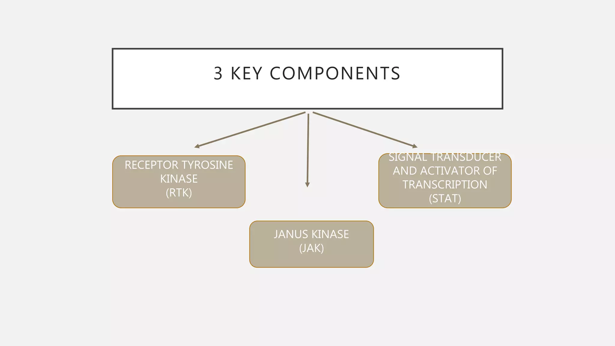 3 KEY COMPONENTS
JANUS KINASE
(JAK)
RECEPTOR TYROSINE
KINASE
(RTK)
SIGNAL TRANSDUCER
AND ACTIVATOR OF
TRANSCRIPTION
(STAT)
 