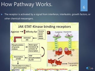 Jak stat signalling pathway | PPTX