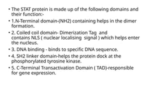 Nls Tag JAK STAT SINGNALING pathway and its understanding.pptx