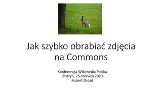 Jak szybko obrabiać zdjęcia
na Commons
Konferencja Wikimedia Polska
Olsztyn, 25 czerwca 2023
Robert Drózd
 