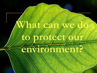 What can we do to protect our environment? 
