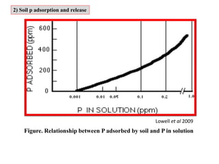 Figure. Relationship between P adsorbed by soil and P in solution
Lowell et al 2009
2) Soil p adsorption and release
 