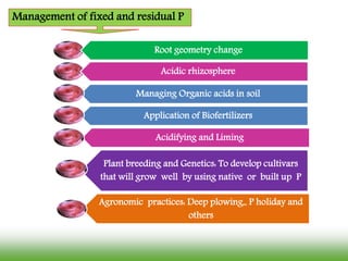 Management of fixed and residual P
Acidifying and Liming
Application of Biofertilizers
Agronomic practices: Deep plowing,, P holiday and
others
Plant breeding and Genetics: To develop cultivars
that will grow well by using native or built up P
Root geometry change
Acidic rhizosphere
Managing Organic acids in soil
 