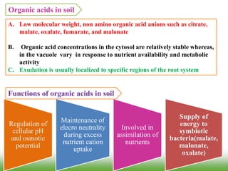 A. Low molecular weight, non amino organic acid anions such as citrate,
malate, oxalate, fumarate, and malonate
B. Organic acid concentrations in the cytosol are relatively stable whereas,
in the vacuole vary in response to nutrient availability and metabolic
activity
C. Exudation is usually localized to specific regions of the root system
Organic acids in soil
Regulation of
cellular pH
and osmotic
potential
Maintenance of
elecro neutrality
during excess
nutrient cation
uptake
Involved in
assimilation of
nutrients
Supply of
energy to
symbiotic
bacteria(malate,
malonate,
oxalate)
Functions of organic acids in soil
 