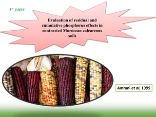 Evaluation of residual and
cumulative phosphorus effects in
contrasted Moroccan calcareous
soils
Amrani et al. 1999
1st paper
 