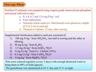 First crop: Wheat
Supplemental fertilization added to each pot consisted of:
1) 100 mg N kg-1 from NH4NO3, one half at sowing and the other at
tillering
2) 50 mg K kg-1 from K2SO4
3) 3.5 mg Zn kg-1 from ZnSO4.7H2O
4) 8 mg Fe kg-1 from Fe - Chelate (10%)
5) 4.5 mg Cu kg-1 from CuSO4.5H2O
6) 8 mg kg-1 from MgSO4.7H2O
Fertilizer P solutions were prepared using reagent grade monocalcium phosphate
and mixed with soil at rates :
a. 0, 3.4, 6.7 and 13.4 mg P kg-1 soil
b. Four replications
c. Nineteen wheat seeds (cv. Merchouch) were placed at a depth
of 2 to 3 cm in each pot
d. Thinned to 9 plants, 12 days after sowing
Pots were watered regularly (every 3 days) with enough deionized water to
bring them to 90% of field capacity
The greenhouse was maintained at 24 ◦C day and 15 ◦C at night
 