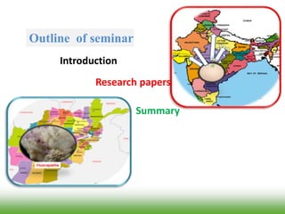Outline of seminar
Introduction
Research papers
Summary
 