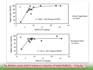 Fig. Relative grain yield of wheat as a function of initial NaHCO3 – P mg kg -1
 