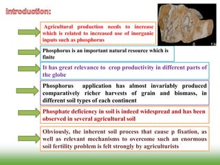 Phosphorus is an important natural resource which is
finite
It has great relevance to crop productivity in different parts of
the globe
Phosphate deficiency in soil is indeed widespread and has been
observed in several agricultural soil
Phosphorus application has almost invariably produced
comparatively richer harvests of grain and biomass, in
different soil types of each continent
Obviously, the inherent soil process that cause p fixation, as
well as relevant mechanisms to overcome such an enormous
soil fertility problem is felt strongly by agriculturists
Agricultural production needs to increase
which is related to increased use of inorganic
inputs such as phosphorus
 
