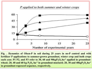 Fig. . Dynamics of Olsen-P in soil during 25 years in no-P control and with
fertilizer P applications to summer-grown groundnut, winter crop and both crops
each year. P1 P2, and P3 refer to 30, 60 and 90kgP2O5 ha-1 applied in groundnut-
wheat; 20, 40 and 60 kg P2O5 ha-1 in groundnut-mustard; 20, 30 and 40kgP2O5 ha-1
in groundnut-rapeseed sequence, respectively.
 