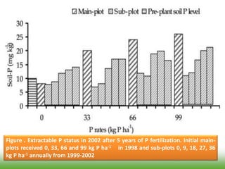 Figure . Extractable P status in 2002 after 5 years of P fertilization. Initial main-
plots received 0, 33, 66 and 99 kg P ha-1 in 1998 and sub-plots 0, 9, 18, 27, 36
kg P ha-1 annually from 1999-2002
 