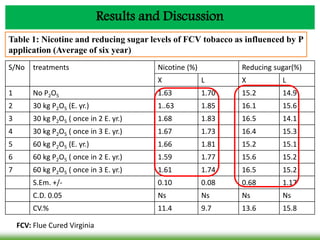 Results and Discussion
S/No treatments Nicotine (%) Reducing sugar(%)
X L X L
1 No P2O5 1.63 1.70 15.2 14.9
2 30 kg P2O5 (E. yr.) 1..63 1.85 16.1 15.6
3 30 kg P2O5 ( once in 2 E. yr.) 1.68 1.83 16.5 14.1
4 30 kg P2O5 ( once in 3 E. yr.) 1.67 1.73 16.4 15.3
5 60 kg P2O5 (E. yr.) 1.66 1.81 15.2 15.1
6 60 kg P2O5 ( once in 2 E. yr.) 1.59 1.77 15.6 15.2
7 60 kg P2O5 ( once in 3 E. yr.) 1.61 1.74 16.5 15.2
S.Em. +/- 0.10 0.08 0.68 1.17
C.D. 0.05 Ns Ns Ns Ns
CV.% 11.4 9.7 13.6 15.8
Table 1: Nicotine and reducing sugar levels of FCV tobacco as influenced by P
application (Average of six year)
FCV: Flue Cured Virginia
 