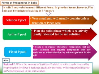 In soils P may exist in many different forms. In practical terms, however, P in
soils can be thought of existing in 3 "pools":
Forms of Phosphorus in Soils
Residual P: When the amount of fertilizer P added to soil exceeds removal by
cropping the fertilizer P residues gradually increase, with corresponding rise
in P concentration in the soil solution
Also
• Very small and will usually contain only a
fraction of P per acre.
Solution P pool
• P on the solid phase which is relatively
easily released to the soil solutionActive P pool
• Made of inorganic phosphate compounds that are
very insoluble and organic compounds that are
resistant to mineralization by microorganisms in the
soil
Fixed P pool
 