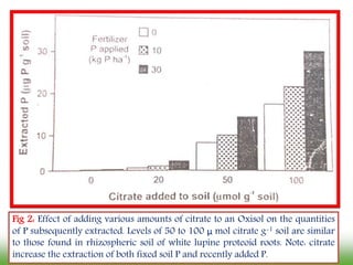 Fig 2: Effect of adding various amounts of citrate to an Oxisol on the quantities
of P subsequently extracted. Levels of 50 to 100 μ mol citrate g-1 soil are similar
to those found in rhizospheric soil of white lupine proteoid roots. Note: citrate
increase the extraction of both fixed soil P and recently added P.
 