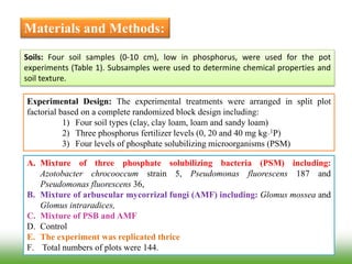 Materials and Methods:
Soils: Four soil samples (0-10 cm), low in phosphorus, were used for the pot
experiments (Table 1). Subsamples were used to determine chemical properties and
soil texture.
Experimental Design: The experimental treatments were arranged in split plot
factorial based on a complete randomized block design including:
1) Four soil types (clay, clay loam, loam and sandy loam)
2) Three phosphorus fertilizer levels (0, 20 and 40 mg kg_1P)
3) Four levels of phosphate solubilizing microorganisms (PSM)
A. Mixture of three phosphate solubilizing bacteria (PSM) including:
Azotobacter chrocooccum strain 5, Pseudomonas fluorescens 187 and
Pseudomonas fluorescens 36,
B. Mixture of arbuscular mycorrizal fungi (AMF) including: Glomus mossea and
Glomus intraradices,
C. Mixture of PSB and AMF
D. Control
E. The experiment was replicated thrice
F. Total numbers of plots were 144.
 