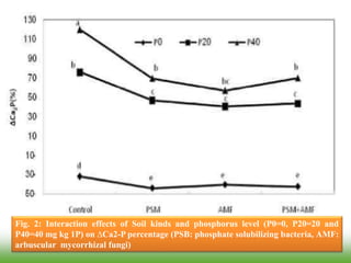 Fig. 2: Interaction effects of Soil kinds and phosphorus level (P0=0, P20=20 and
P40=40 mg kg 1P) on ∆Ca2-P percentage (PSB: phosphate solubilizing bacteria, AMF:
arbuscular mycorrhizal fungi)
 